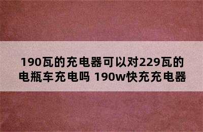 190瓦的充电器可以对229瓦的电瓶车充电吗 190w快充充电器